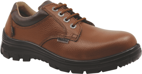 BS 9041 (BR)